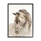 Stupell Industries Gentle Farm Horse Portrait Framed Giclee Art